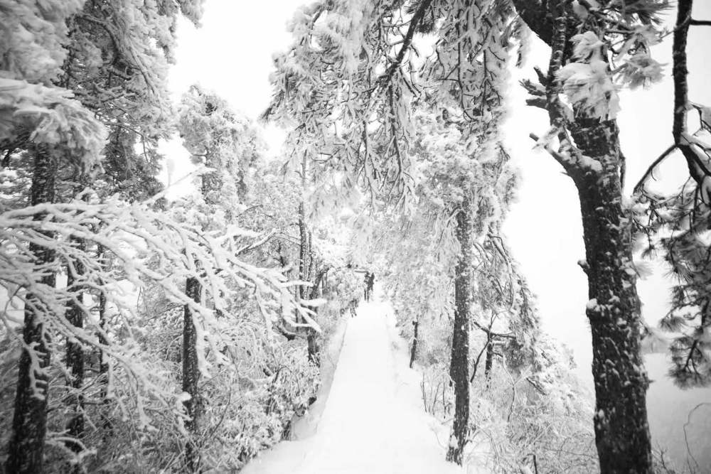 江西庐山雪景