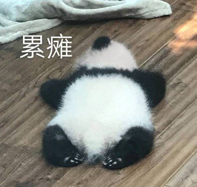 表情包:你简直是丧心病狂