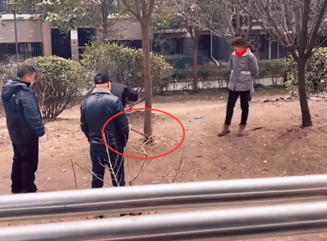 江苏宿迁一女子在小区上吊身亡,树砍后流出血红色液体