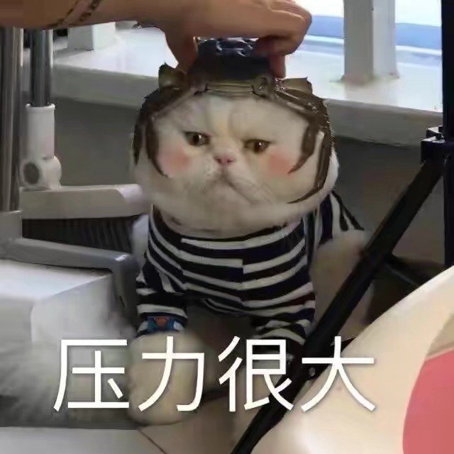 表情包:怕不是个傻子