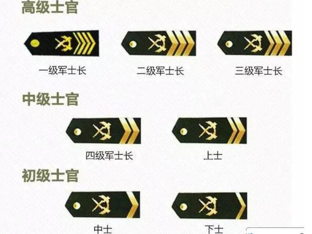 士官军衔分为9个衔级,分别是一级军士长,二级军士长,三级军士长(高级
