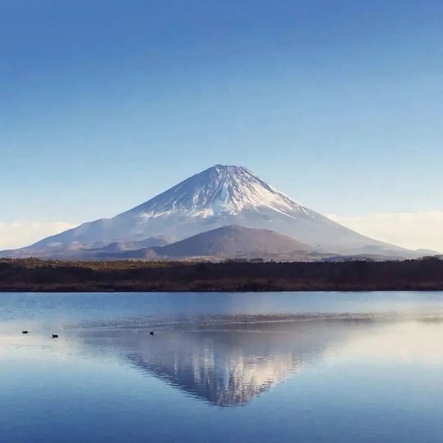 背景图|富士山下