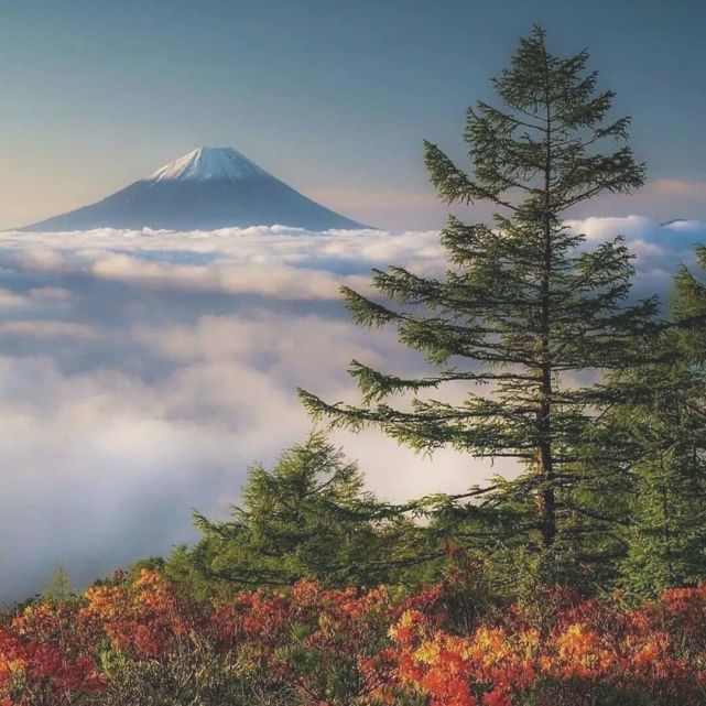 背景图|富士山下