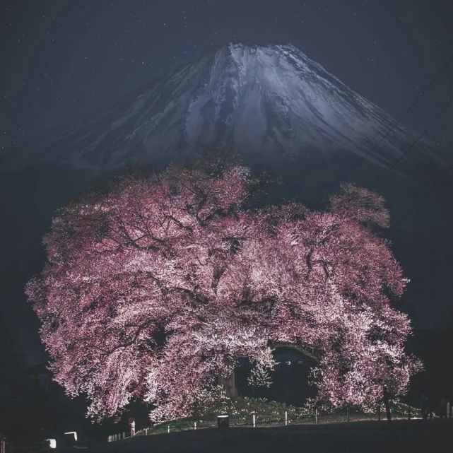 背景图|富士山下