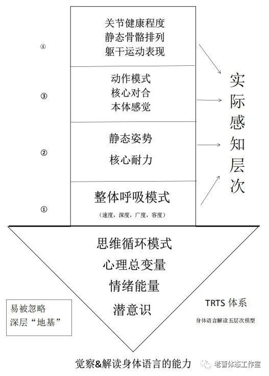 9型人格人口占比数据_男人只有这样,才最容易让女生对你着迷 上(2)