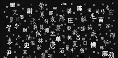 壹姓人口_人口普查(3)