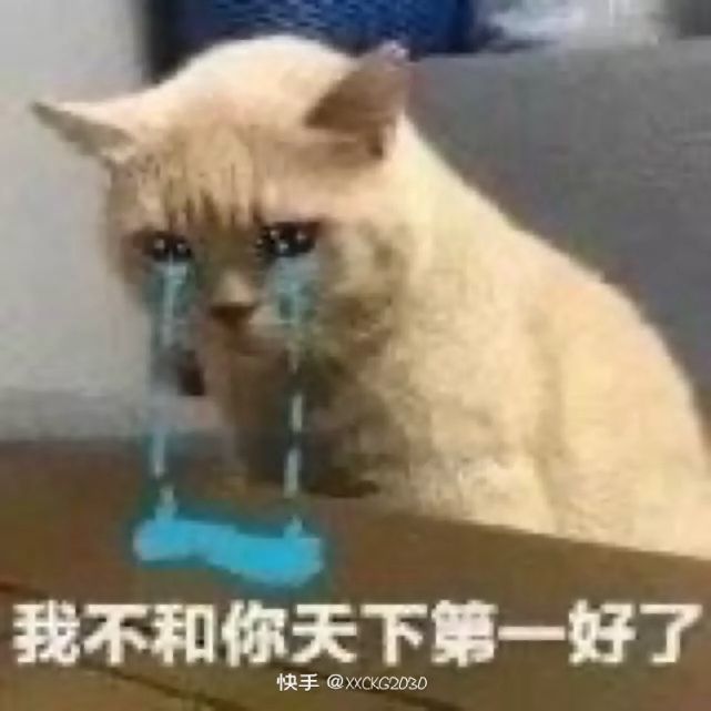 壁纸 动物 狗 狗狗 猫 猫咪 小猫 桌面 641_641