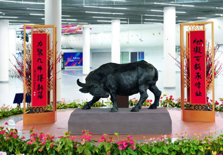 地铁人民广场中央展台推出"金牛迎春"铜牛雕塑,牛劲十足,牛气冲天!