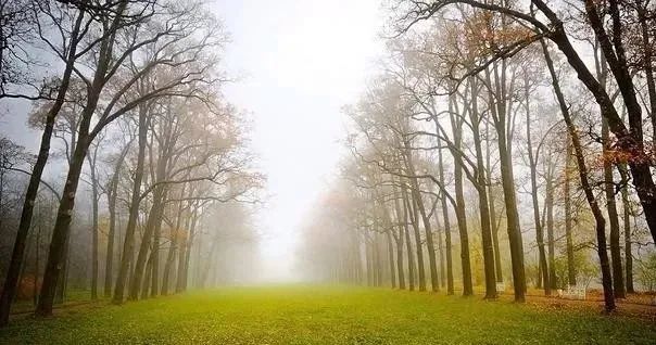 风一程,雨一程,人生的路,风雨兼程