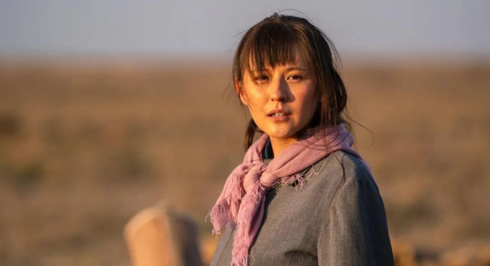 山海情里的西海固花儿篇