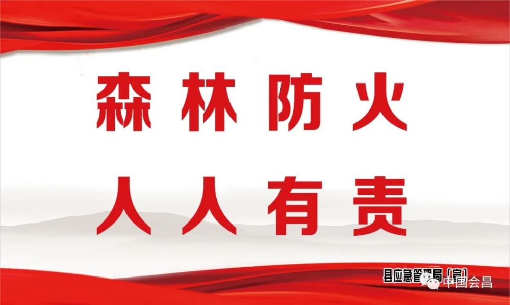 平安过节,防止山火!——来自林业局的森林防火倡议书