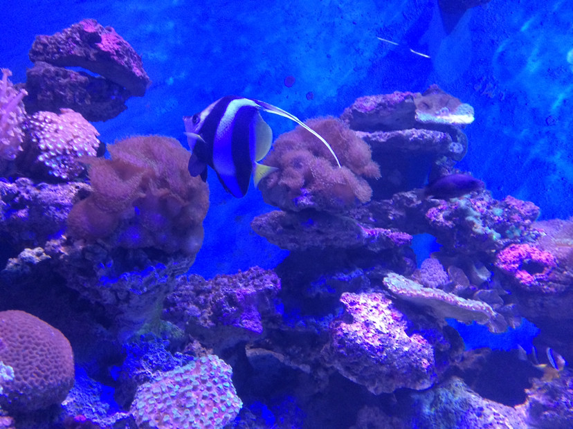 昆明花都海洋世界