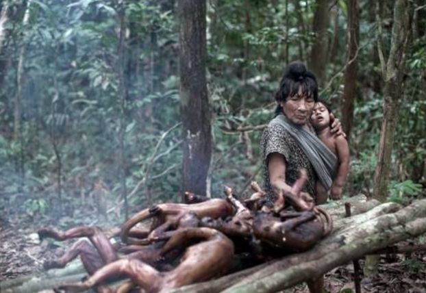 巴西最后的原始部落,女人却用母乳喂养动物,40岁后必须离开部落