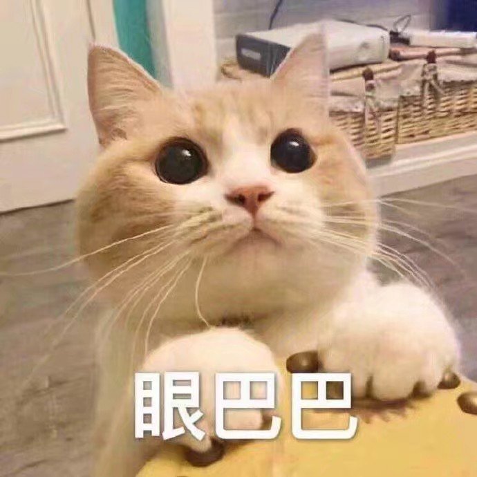 发给对象的可爱表情包