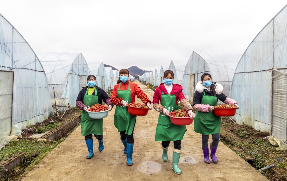 黔西gdp_黔西县城(3)