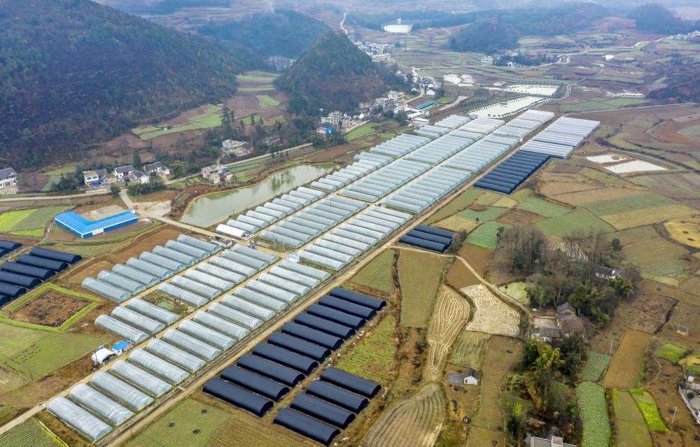 黔西gdp_黔西县城