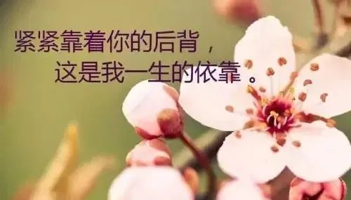 早安阳光简短励志唯美句子 一句话经典正能量语录