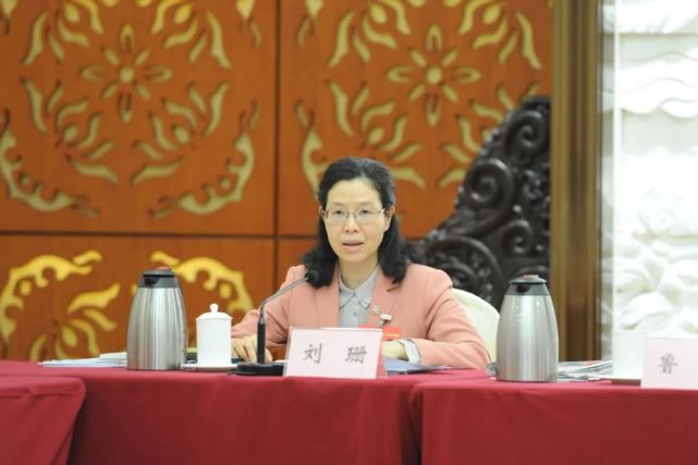 省人大代表,佛山市人大常委会党组副书记,副主任刘珊在佛山代表团分组
