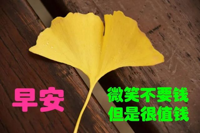 2021早上好问候表情语,温馨早安问候语动态图片表情