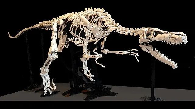 2米长的乐高恐龙化石出没!