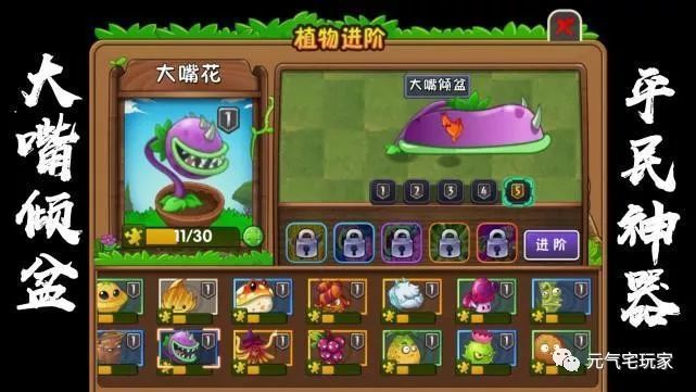 植物大战僵尸2:好用不贵,金蟾大嘴原猴蚕,平民通关5"