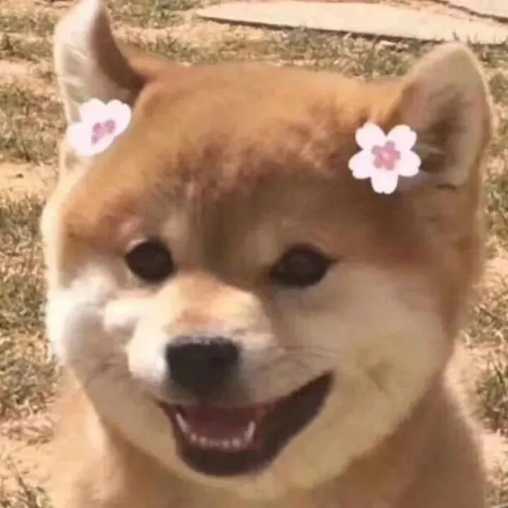 情侣头像丨高清超宠老婆的情侣头像.