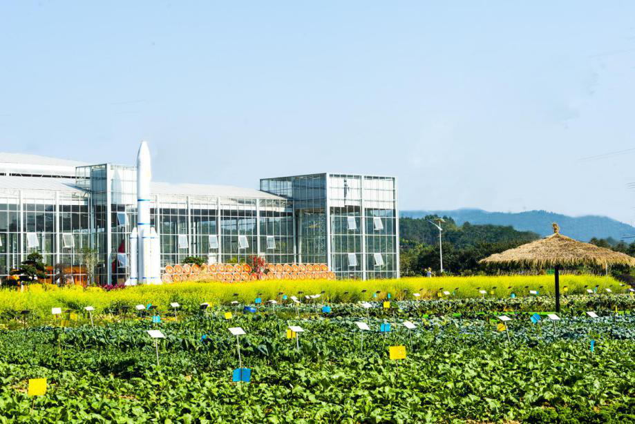 基地,"国家植物航天育种工程技术研究中心"博罗成果转化与示范基地