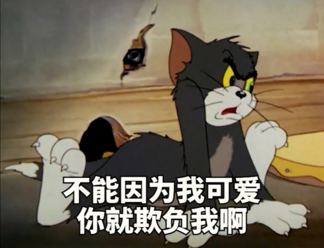 猫和老鼠表情包1