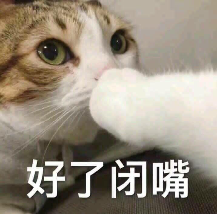 表情包 ‖ 今天也是萌萌的小猫咪鸭~小猫咪能有什么坏