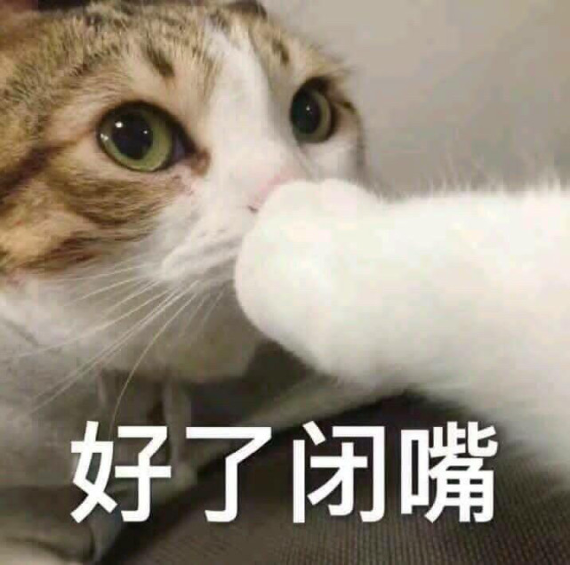 表情包今天也是萌萌的小猫咪鸭小猫咪能有什么坏心眼呢