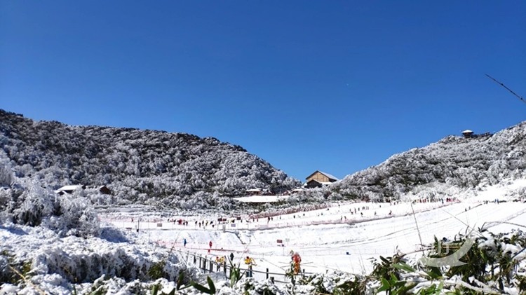 留渝过年的外地小伙伴 金佛山门票半价优惠了