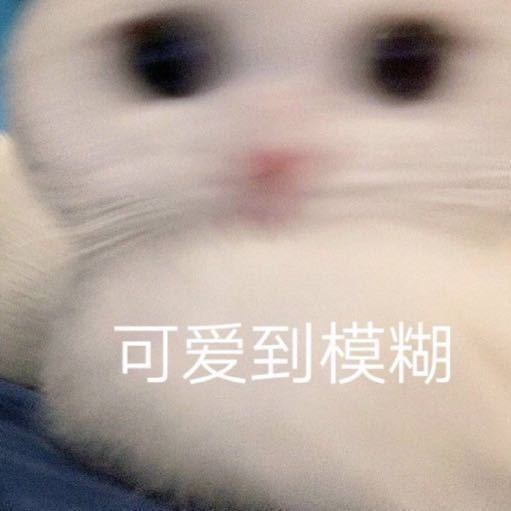 萌宠表情包可爱到模糊