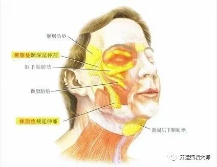 为什么张柏芝的脸凹陷成这样?年轻时拥有一张名副其实的"肉肉脸"