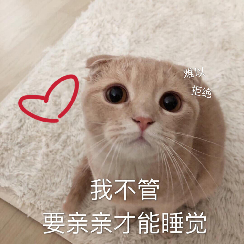 壁纸 动物 猫 猫咪 小猫 桌面 1000_1000