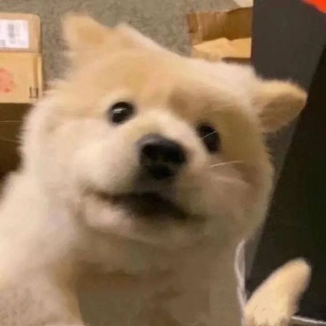 个性可爱的沙雕头像又增加了!
