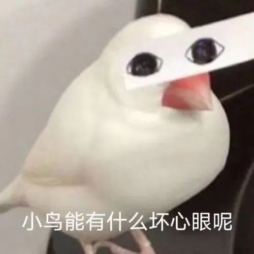 可爱表情包:小动物能有什么坏心眼呢