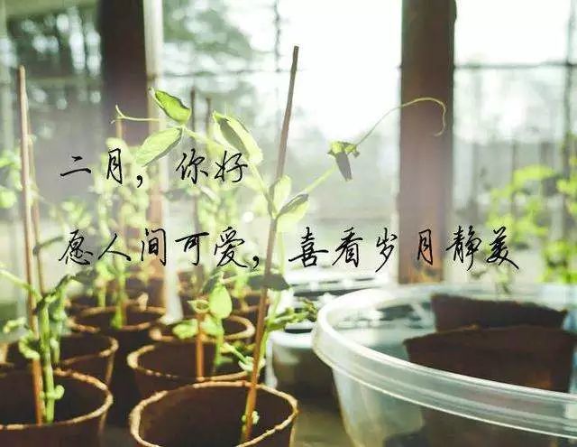 2月你好朋友圈说说 2022二月你好说说句子唯美图片