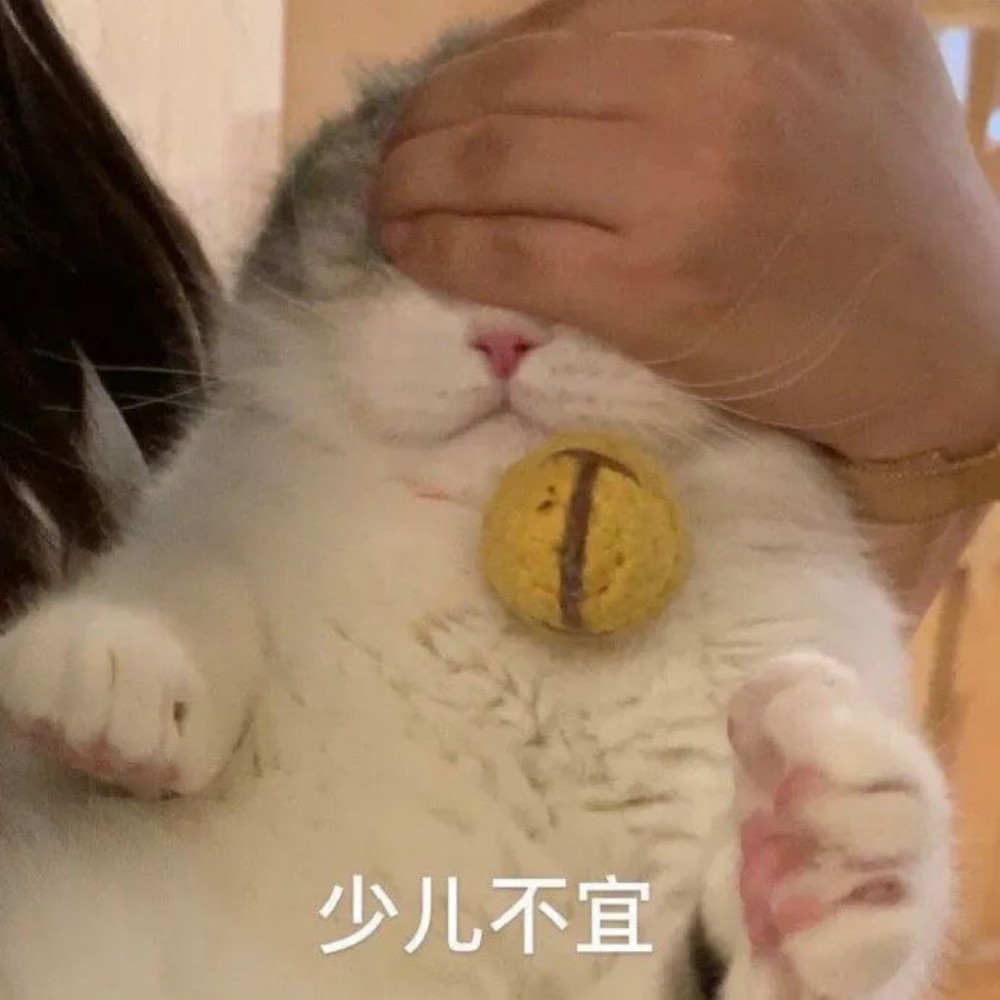 头像表情包丨小猫咪能有什么坏心思呢