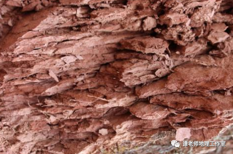 这里的紫红色砂岩和页岩极易风化发育成紫色土,紫土含有丰富的钙,磷