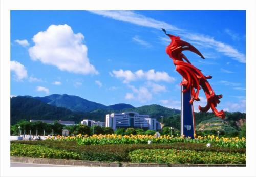 广东21地市GDP2020_2020广东21市gdp(3)