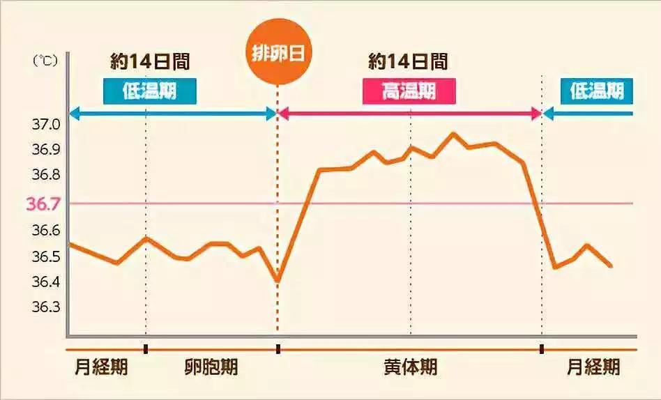 孕激素水平测定 排卵后6-7天血清中孕激素水平可有所升高,因此可在