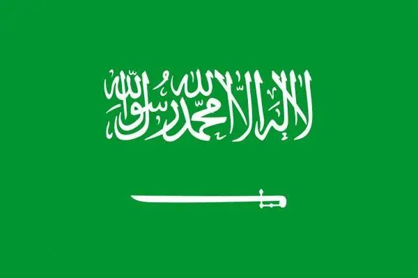 不懂阿拉伯语的人完全无法理解沙特国旗:在绿色的旗帜上,一排龙飞