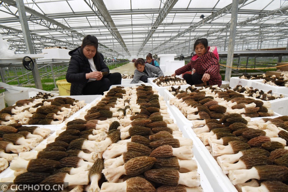 辽宁铁道职业技木学院_辽宁农业管理干部学院_辽宁农业职业技术学院读一年多少钱