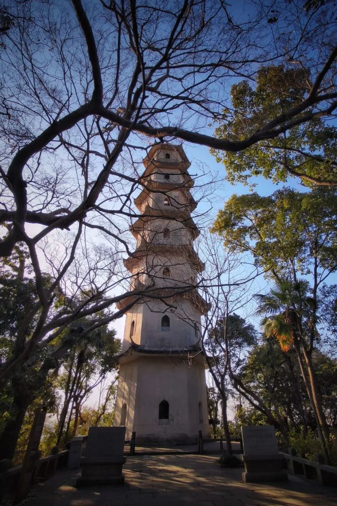 冬天晴日里,来江心屿上偷得浮生半日闲