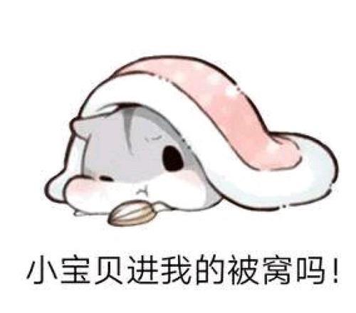 仓鼠表情包小宝贝进我的被窝吗