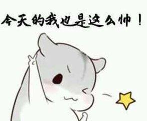 仓鼠表情包:我的小脑壳让你摸摸