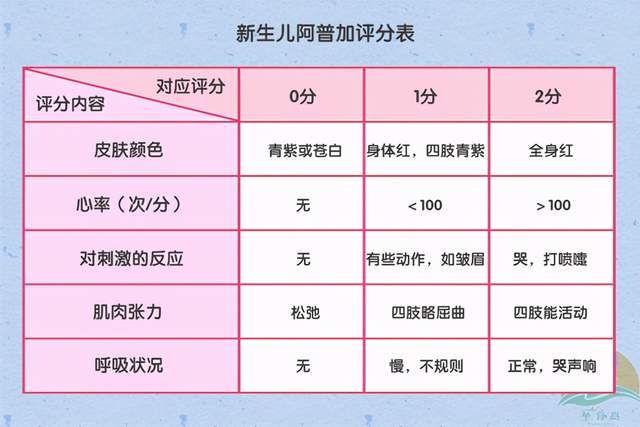 检查结束之后,宝宝会得到人生第一次评分,叫做"阿普加评分,包括心率