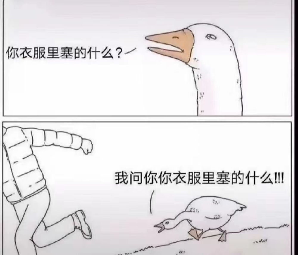 每日一笑:我只是问问你衣服里塞的是什么而已,你别跑啊