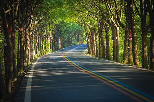 去溧阳天路自驾,除了必玩彩虹公路,这些景点别错过!