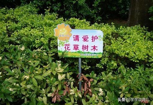 爱护花草树木广告语 花草树木环保广告词